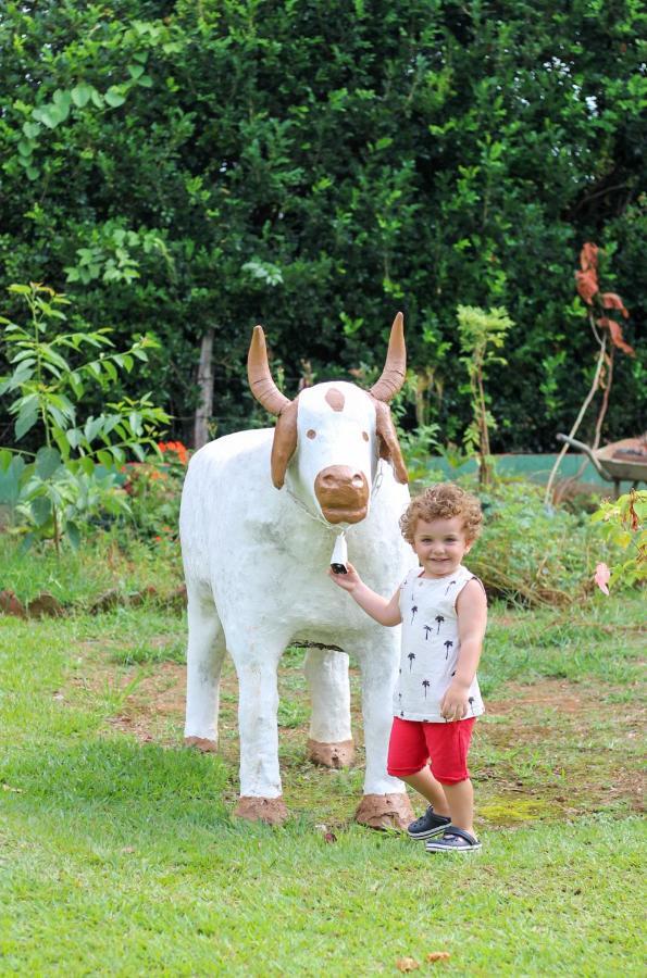 Pousada Estancia Canastra Delfinopolis Ngoại thất bức ảnh